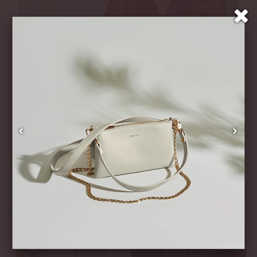ISO! Angela Roi Zuri Multifunction pouch